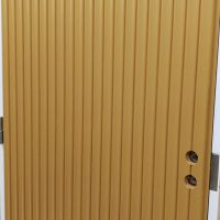 Aalto-sisko pystypanelionti